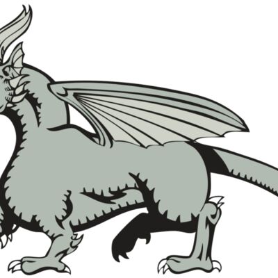 BAW DRAGON 20 RC Thumbnail